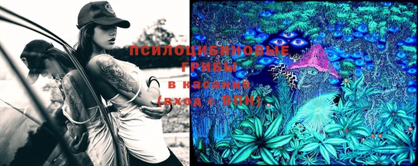 крисы Алексин