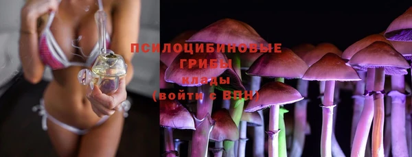 PSILOCYBIN Алексеевка
