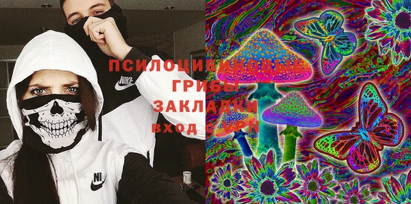 твердый Алзамай