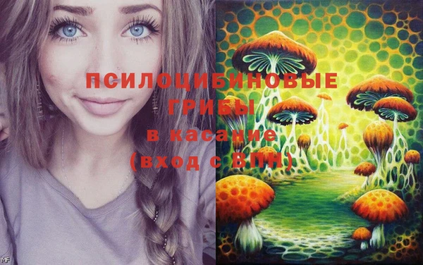 твердый Алзамай
