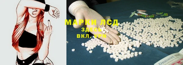 PSILOCYBIN Алексеевка