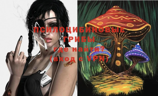твердый Алзамай