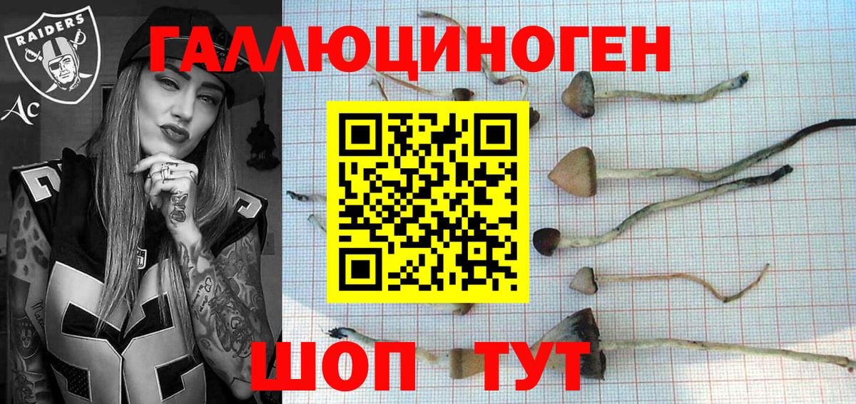Южно-Сахалинск  Галлюциногенные грибы Cubensis  Вход с VPN 